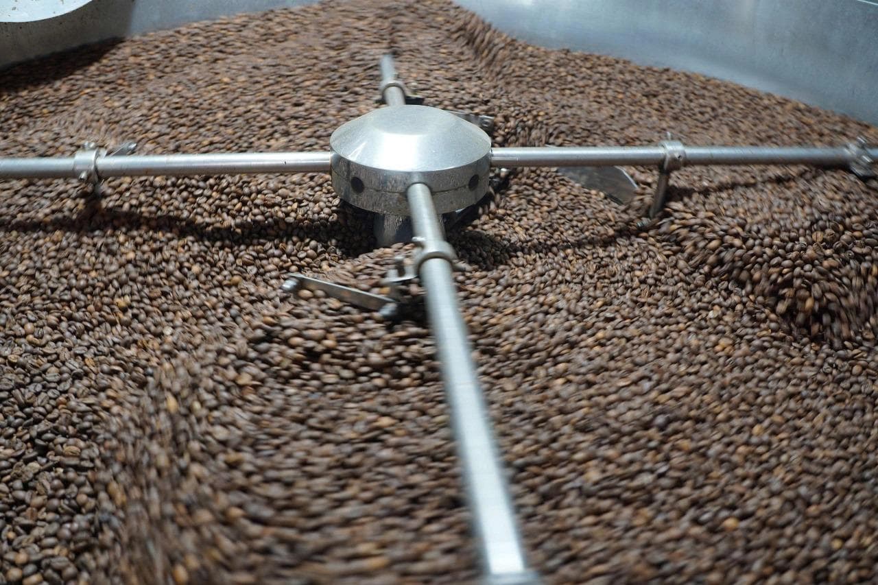 Frisch geröstete Kaffeebohnen in der Kühltrommel