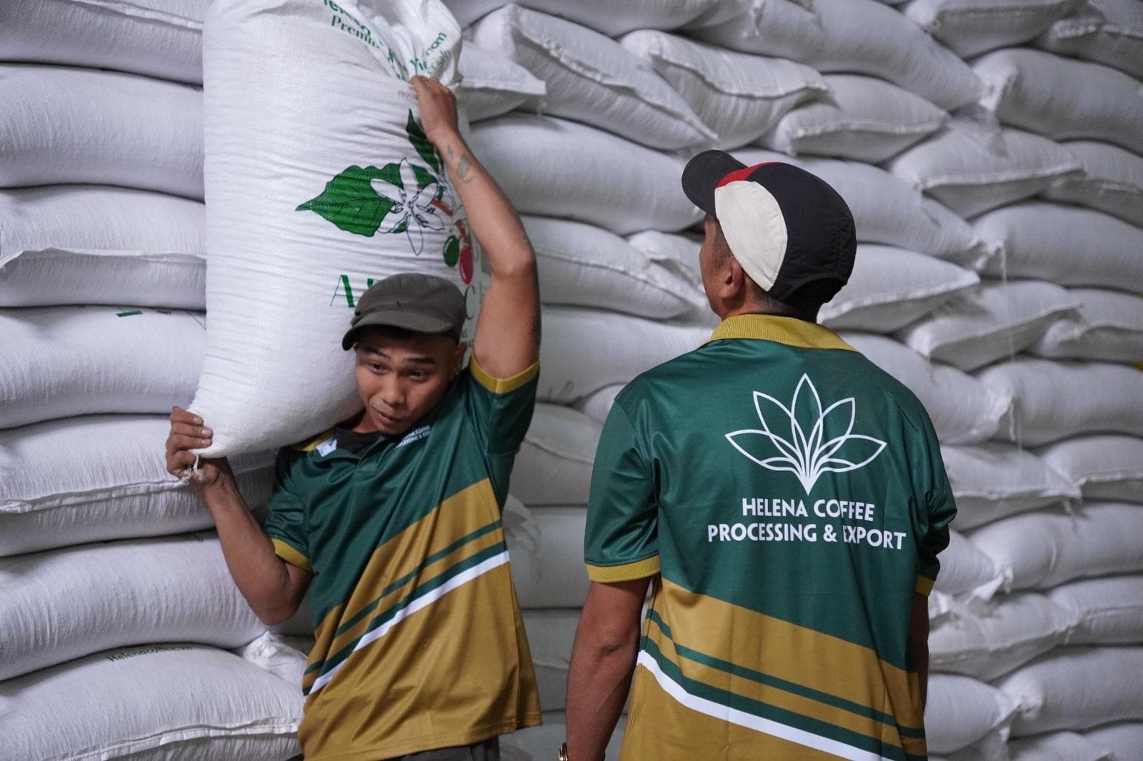 Helena Coffee Vietnam – Mitarbeiter mit Arabica-Säcken