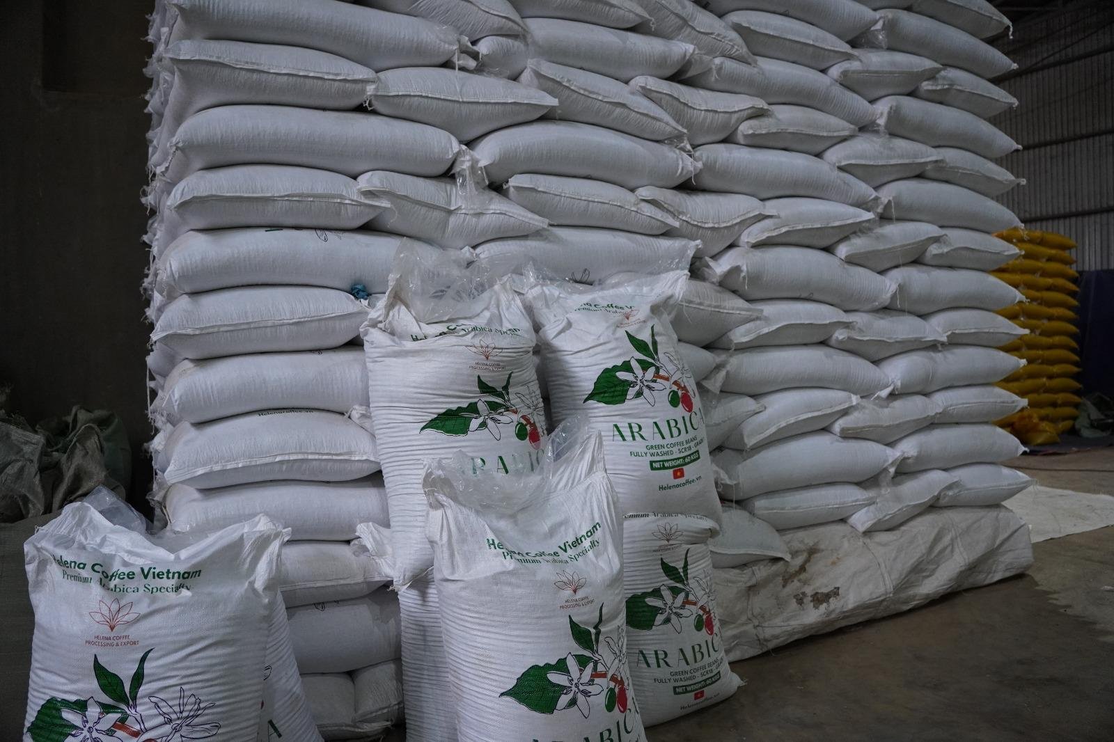 Robusta vs. Arabica: Was ist der Unterschied?